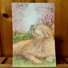 色鉛筆画　手描き　猫「春到来」