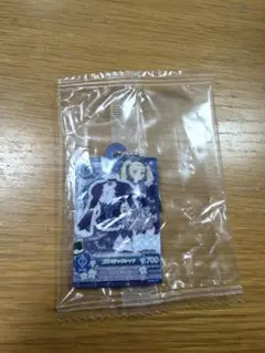 アイカツ！だれでもアイドル活動アクリルチャーム3 藤堂ユリカ ゴス
