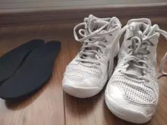 Item thumbnail for item 9602e8bd-c40e-4fdf-a3f1-08fbdd478cee