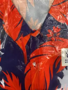 Item thumbnail for item da3ffafb-ffb0-4668-8db7-b9508f13380a