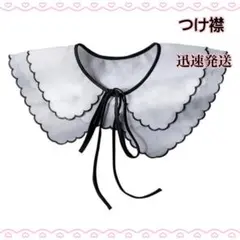 大人気 新品 つけ襟 ホワイトV