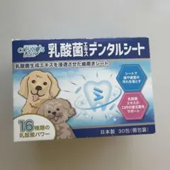 Item thumbnail for item f331693b-a4b8-4fb0-b7e8-439487c47f3a