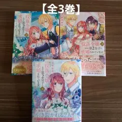 没落令嬢なのに第2皇子に求婚されています 【全3巻】