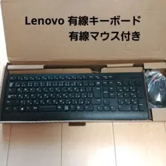 Lenovo 有線キーボード 日本語配列 有線マウス付き