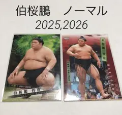 Item thumbnail for item 22312860-86a4-4593-9d9b-b876049ca66a