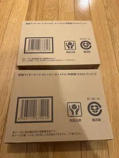 仮面ライダーオーズ オーメダル チャームコレクション vol.1&2 全13種 