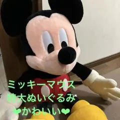 ミッキーマウス ぬいぐるみ 大きい　ディズニー