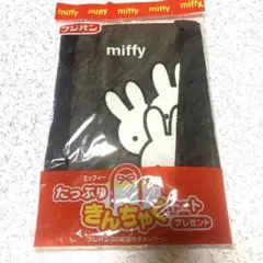 【未使用】フジパン2012年 ミッフィーたっぷりきんちゃくトート