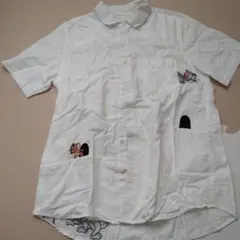 Item thumbnail for item f7908f0d-d2dd-4da9-a419-3ad60b500179