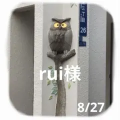 rui様