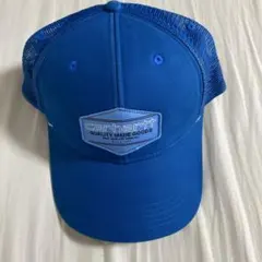 Carhartt メッシュキャップ ブルーのサムネイル