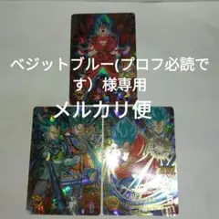 ベジットブルー(プロフ必読です)様 リクエスト 2点 まとめ商品