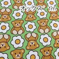 ラスト 1m　くまとお花 グリーン オックス