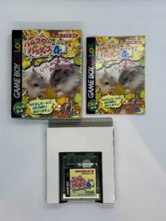 GBC ハムスターパラダイス4 箱・説明書付 動作確認済 ゲームボーイカラー