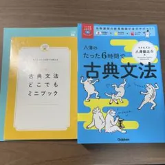 八澤のたった6時間で古典文法