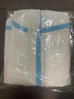 Item thumbnail for item 805ab828-5246-49fb-aece-5a55a6529b25