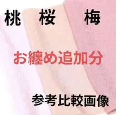 Item thumbnail for item ae96db1b-d9f3-4510-a8f4-50d0270dce06