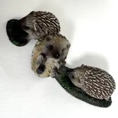 Schleich シュライヒ ハリネズミ 仔 フィギュア 子のサムネイル