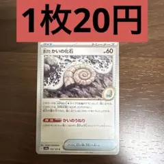 古びたかいの化石 残り1枚のサムネイル