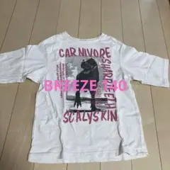 ブリーズ 140 半袖 Tシャツ ダイナソー 恐竜
