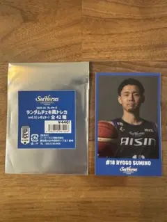 シーホース三河 2025-26ランダムチェキ風トレカ vol.1#18角野亮伍