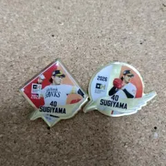 福岡ソフトバンクホークス 柳田悠岐 記念ピンバッジ2種セット - メルカリ