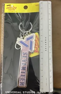 ユニバ　Seventeen キーチェーン　未開封