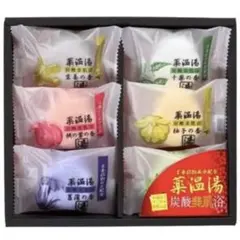 五洲薬品 薬温湯 炭酸美肌入浴セット POD-10のサムネイル