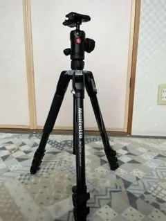 Item thumbnail for item 404becdd-0125-4b52-b681-d524c98e6d4b