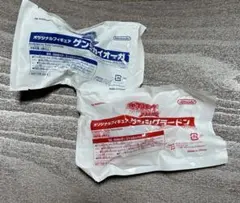 ポケモン ORAS オリジナルフィギュア ゲンシグラードン ゲンシカイオーガ