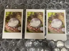 Crazy Raccoon SELFIE CARD 2 TYPE B じゃすぱー