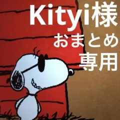 Kityi様 リクエスト 3点 まとめ商品