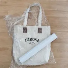 Item thumbnail for item 2f9195ef-4414-4476-aa70-671c802f2124