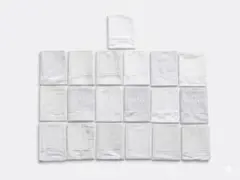 CHANEL/ガーメントバッグ21枚セット(+おまけ5枚) CHANEL/ガーメントバッグ21枚セット(+おまけ5枚) - メルカリ
