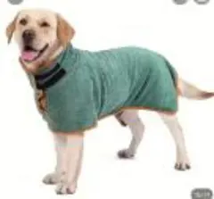 Item thumbnail for item 96839807-e109-4dd0-845f-f3da157c00ce