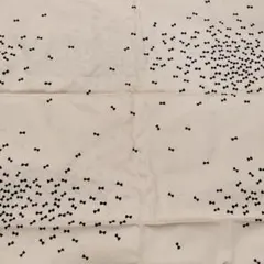 黒いリボン 1m 生成