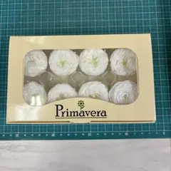 ナナガーデンローズのピュアホワイト