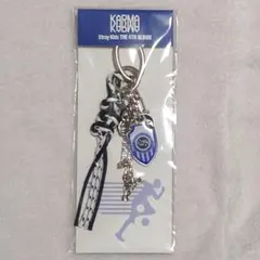 straykids karma アイドル