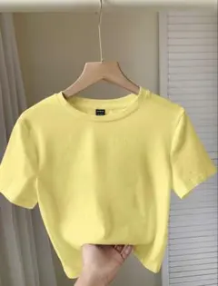 イエロー クルーネック 半袖 ショート丈Tシャツのサムネイル
