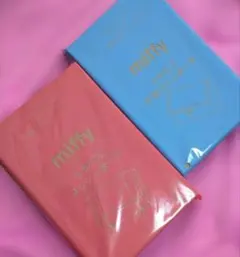 Item thumbnail for item 41dad92f-a2c0-4e6f-9009-0b86e6fe384a