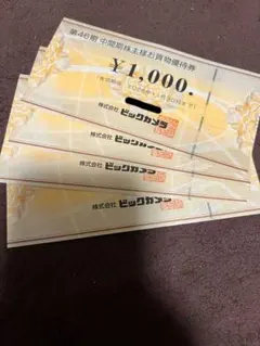 ビックカメラ　株主優待　4000円分　（有効期限　2026年11月30日まで）