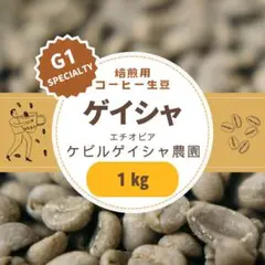 コーヒー生豆 ゲイシャ エチオピア ケビルゲイシャ農園 1kg 自家焙煎用のサムネイル