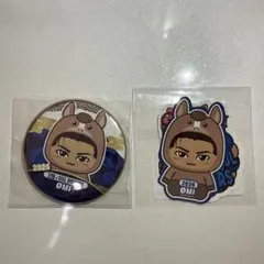 三代目　登坂広臣　缶バッジ　ステッカー　二種セット