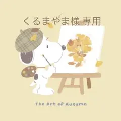 くるまやま様 リクエスト 5点 まとめ商品