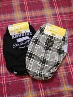 Item thumbnail for item 2b68e15f-5424-4ee3-a236-2ebfc1044fb3