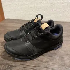 ecco