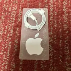 純正 iPhone ライトニングケーブル TYPE-C