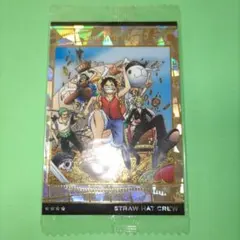 ワンピース ウエハースカード 伝説は始まった 麦わらの一味 SR