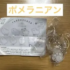 うちの子のけだまだま　ポメラニアン