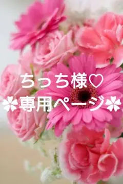 ちっち様 ♡お まとめ商品♡